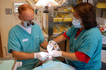 Dentists and orthodontists need endodontic equipment to properly care for their patients’ teeth Wires for Endodontic Equipment